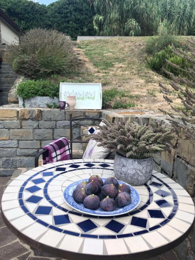 Fig&Lavender Apartment Smarje  Bagian luar foto